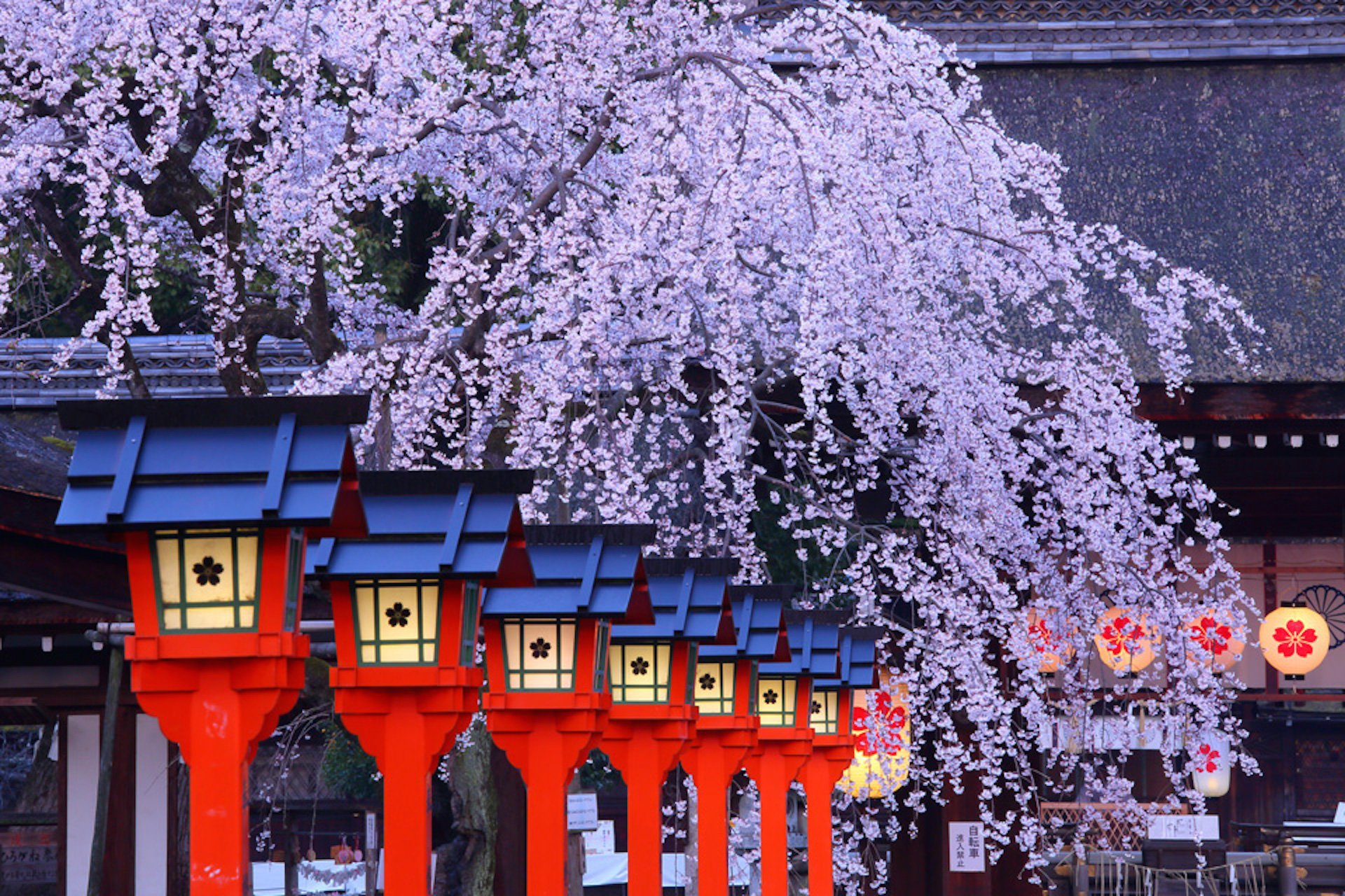 信仰する対象がかわれば用途も変わる、注意してみると面白い！「神社