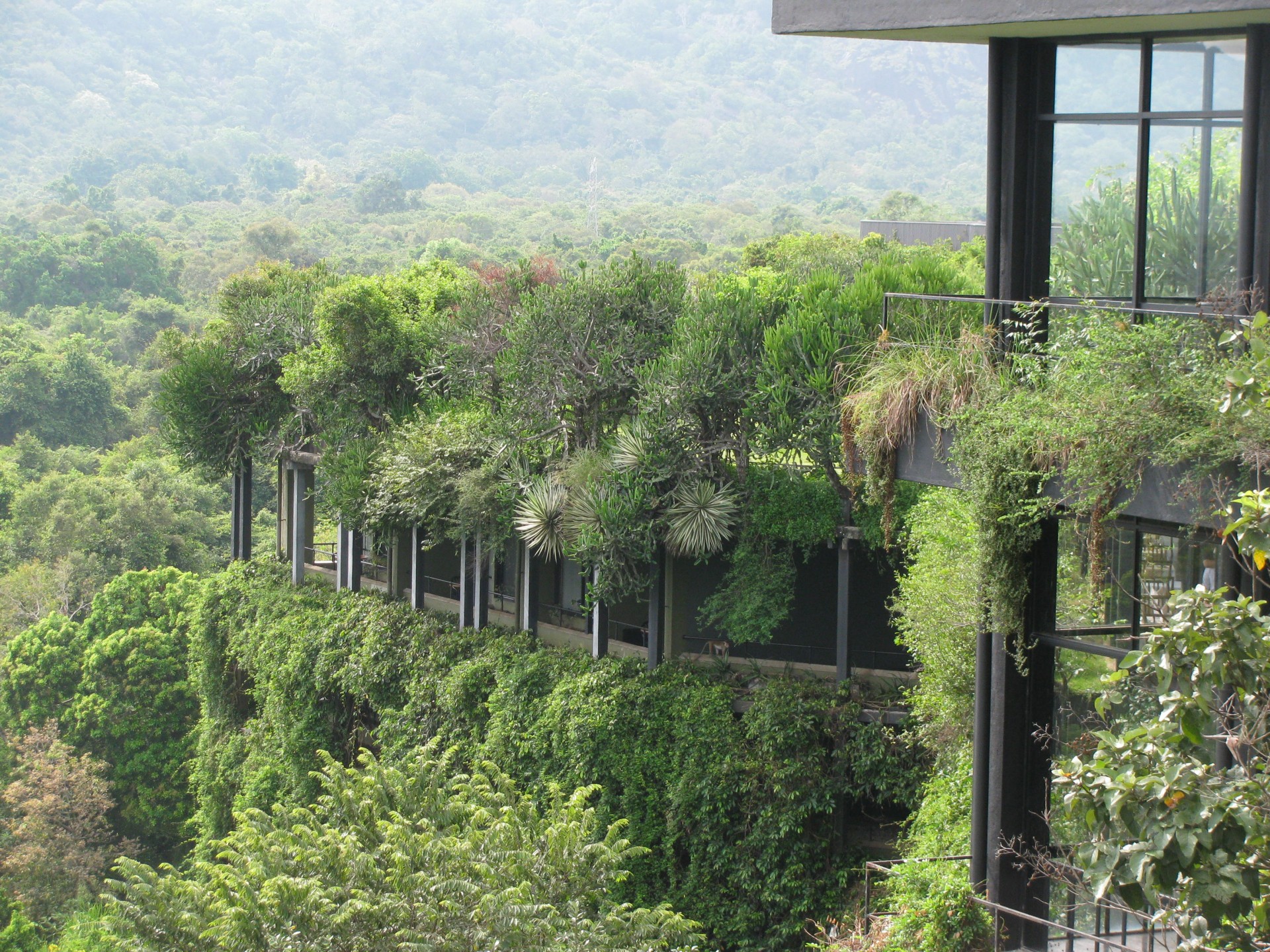 アジアンリゾートの源流はスリランカから 自然を取り入れた熱帯建築家 ジェフリー バワ とは Casa