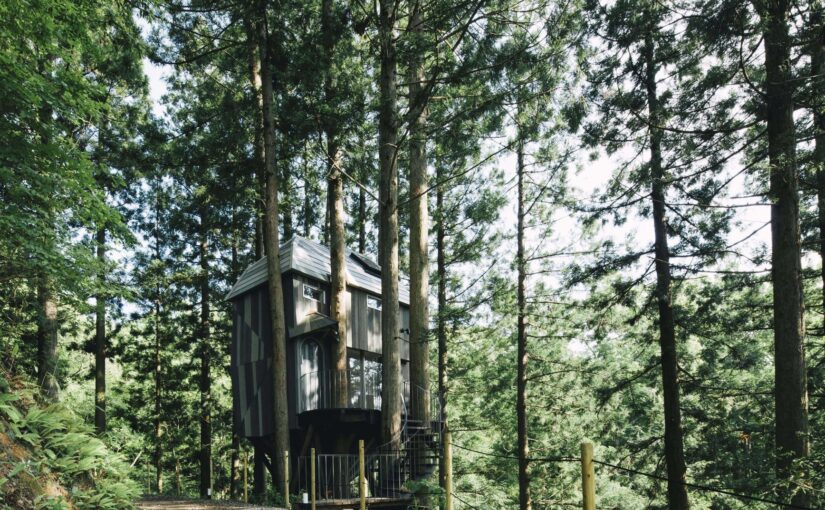 自然と寄り添う“秘密の隠れ家”「温泉リゾート風の国」泊まれるツリーハウスがオープン！