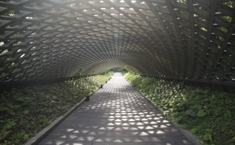 建築家・安藤忠雄による青森の自然を取り込み創造へ導く空間「国際芸術センター青森」