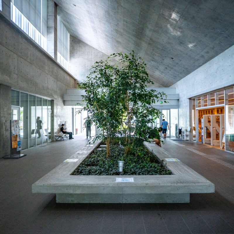 十和田市民図書館