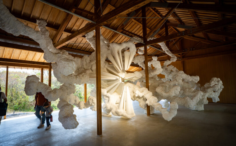 妹島和世が設計し、長谷川祐子が編む。犬島「家プロジェクト」F邸と名和晃平《Biota (Fauna/Flora)》の体験