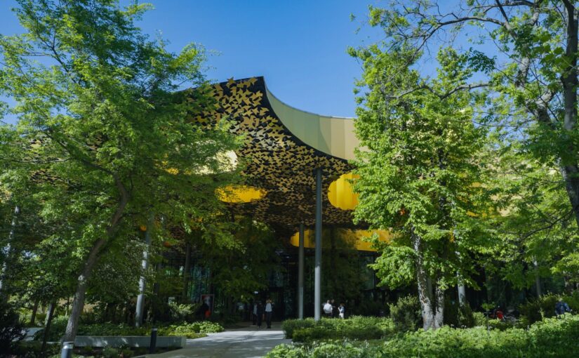 木漏れ日を設計する。藤本壮介による「ハンガリー音楽の家」がブダペストの公園に生んだ音楽の森。